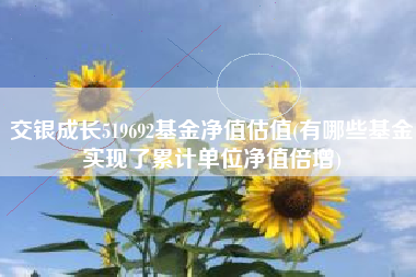交银成长519692基金净值估值(有哪些基金实现了累计单位净值倍增)