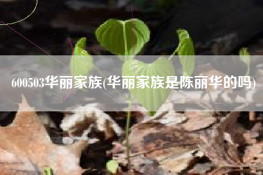 600503华丽家族(华丽家族是陈丽华的吗)