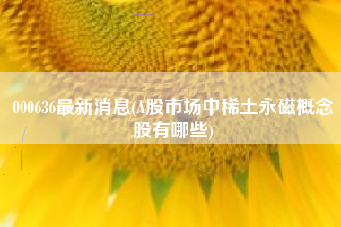 000636最新消息(A股市场中稀土永磁概念股有哪些)