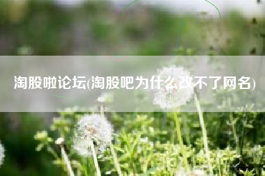 淘股啦论坛(淘股吧为什么改不了网名)