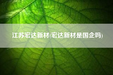 江苏宏达新材(宏达新材是国企吗)