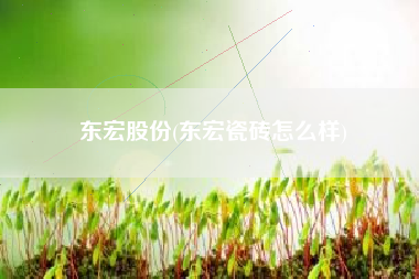 东宏股份(东宏瓷砖怎么样)
