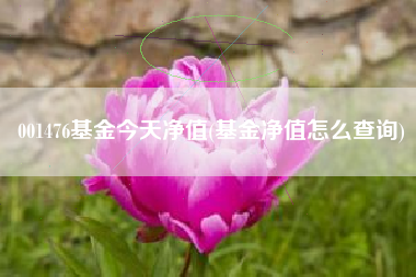001476基金今天净值(基金净值怎么查询)