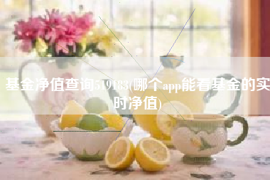 基金净值查询519183(哪个app能看基金的实时净值)