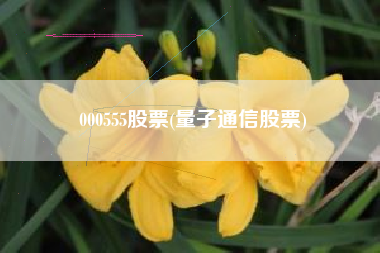 000555股票(量子通信股票)