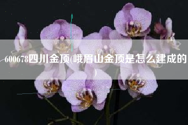 600678四川金顶(峨眉山金顶是怎么建成的)
