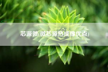 芯源微(微芯源热成像优点)