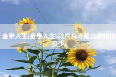 金泰人生(金泰人生b款终身寿险身故赔付多少)