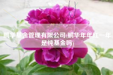 鹏华基金管理有限公司(鹏华年年红一年是纯基金吗)