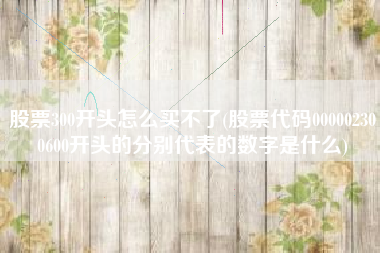 股票300开头怎么买不了(股票代码000002300600开头的分别代表的数字是什么)