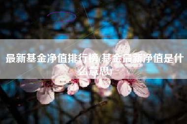 最新基金净值排行榜(基金最新净值是什么意思)