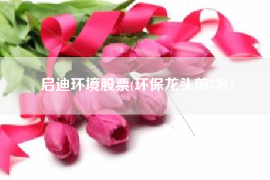 启迪环境股票(环保龙头前5名)