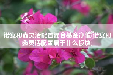诺安和鑫灵活配置混合基金净值(诺安和鑫灵活配置属于什么板块)