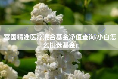 富国精准医疗混合基金净值查询(小白怎么挑选基金)