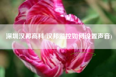 深圳汉邦高科(汉邦监控如何设置声音)