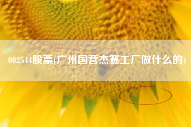 002544股票(广州国营杰赛工厂做什么的)