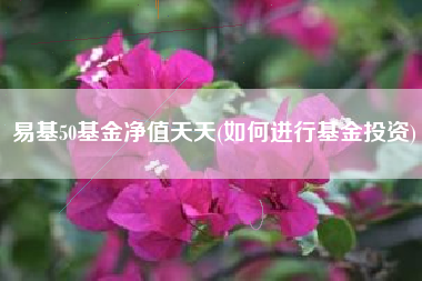易基50基金净值天天(如何进行基金投资)