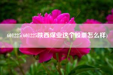 601225(601225陕西煤业这个股票怎么样)