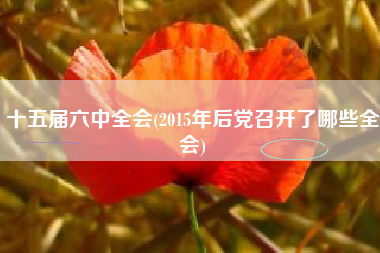 十五届六中全会(2015年后党召开了哪些全会)