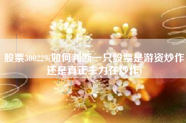 股票300229(如何判断一只股票是游资炒作还是真正主力在炒作)