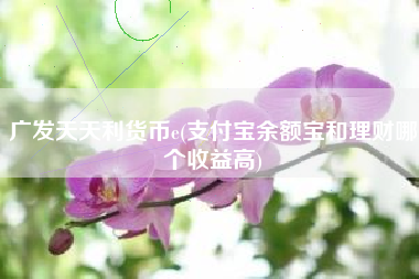 广发天天利货币e(支付宝余额宝和理财哪个收益高)