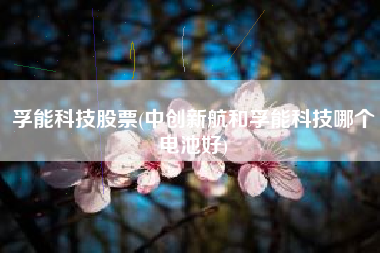 孚能科技股票(中创新航和孚能科技哪个电池好)