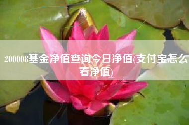 200008基金净值查询今日净值(支付宝怎么看净值)