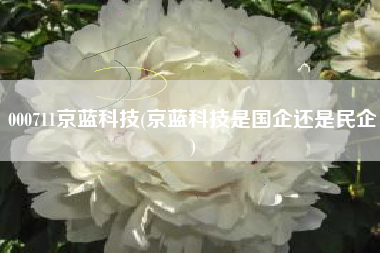 000711京蓝科技(京蓝科技是国企还是民企)