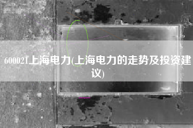 600021上海电力(上海电力的走势及投资建议)