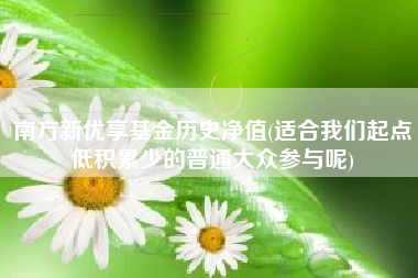 南方新优享基金历史净值(适合我们起点低积累少的普通大众参与呢)