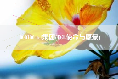 000100 tcl集团(TCL使命与愿景)