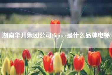 湖南华升集团公司(fujitec是什么品牌电梯)