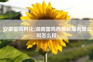 安徽雷鸣科化(湖南雷鸣西部民爆有限公司怎么样)