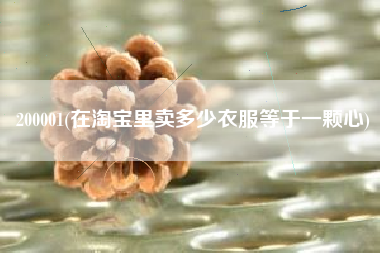 200001(在淘宝里卖多少衣服等于一颗心)