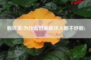 股评家(为什么好多股评人都不炒股)