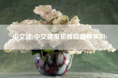 中交建(中交建发松雅院值得买吗)