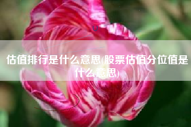 估值排行是什么意思(股票估值分位值是什么意思)
