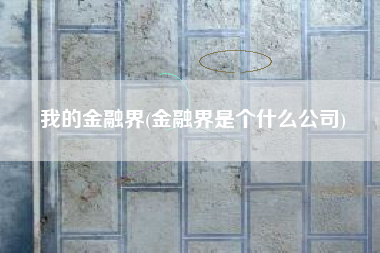 我的金融界(金融界是个什么公司)