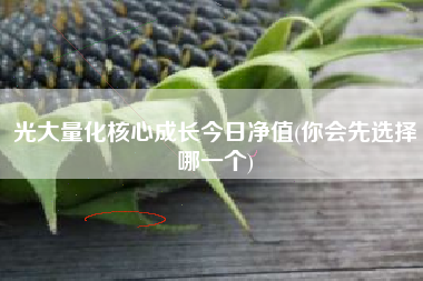 光大量化核心成长今日净值(你会先选择哪一个)