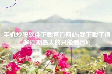 手机炒股软件下载官方网站(我下载了很多周期最大的只能看月K)