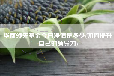 华商领先基金今日净值是多少(如何提升自己的领导力)