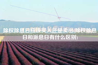 除权除息日应该买入还是卖出(除权除息日和派息日有什么区别)