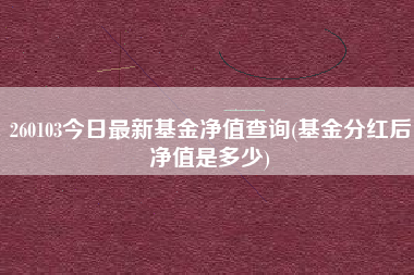 260103今日最新基金净值查询(基金分红后净值是多少)