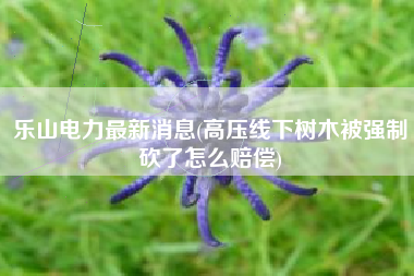 乐山电力最新消息(高压线下树木被强制砍了怎么赔偿)
