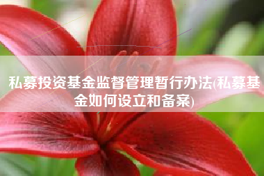 私募投资基金监督管理暂行办法(私募基金如何设立和备案)