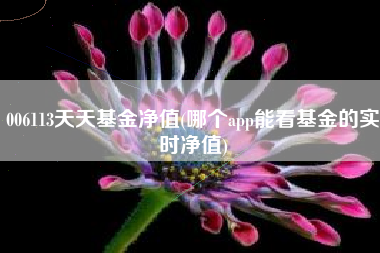 006113天天基金净值(哪个app能看基金的实时净值)