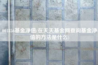 001856基金净值(在天天基金网查询基金净值的方法是什么)