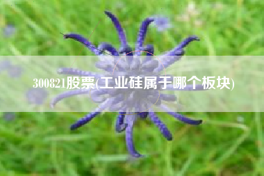 300821股票(工业硅属于哪个板块)