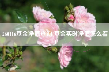 260116基金净值查询(基金实时净值怎么看)