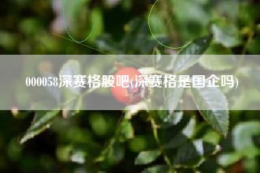 000058深赛格股吧(深赛格是国企吗)